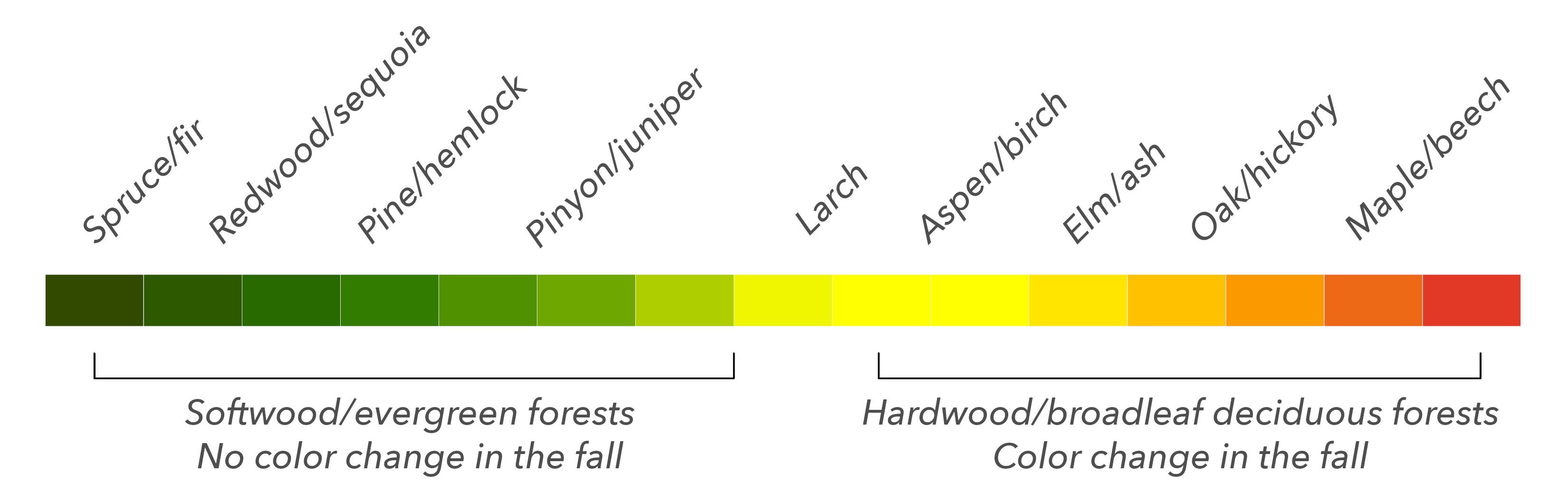 Fall foliage legend by tree type