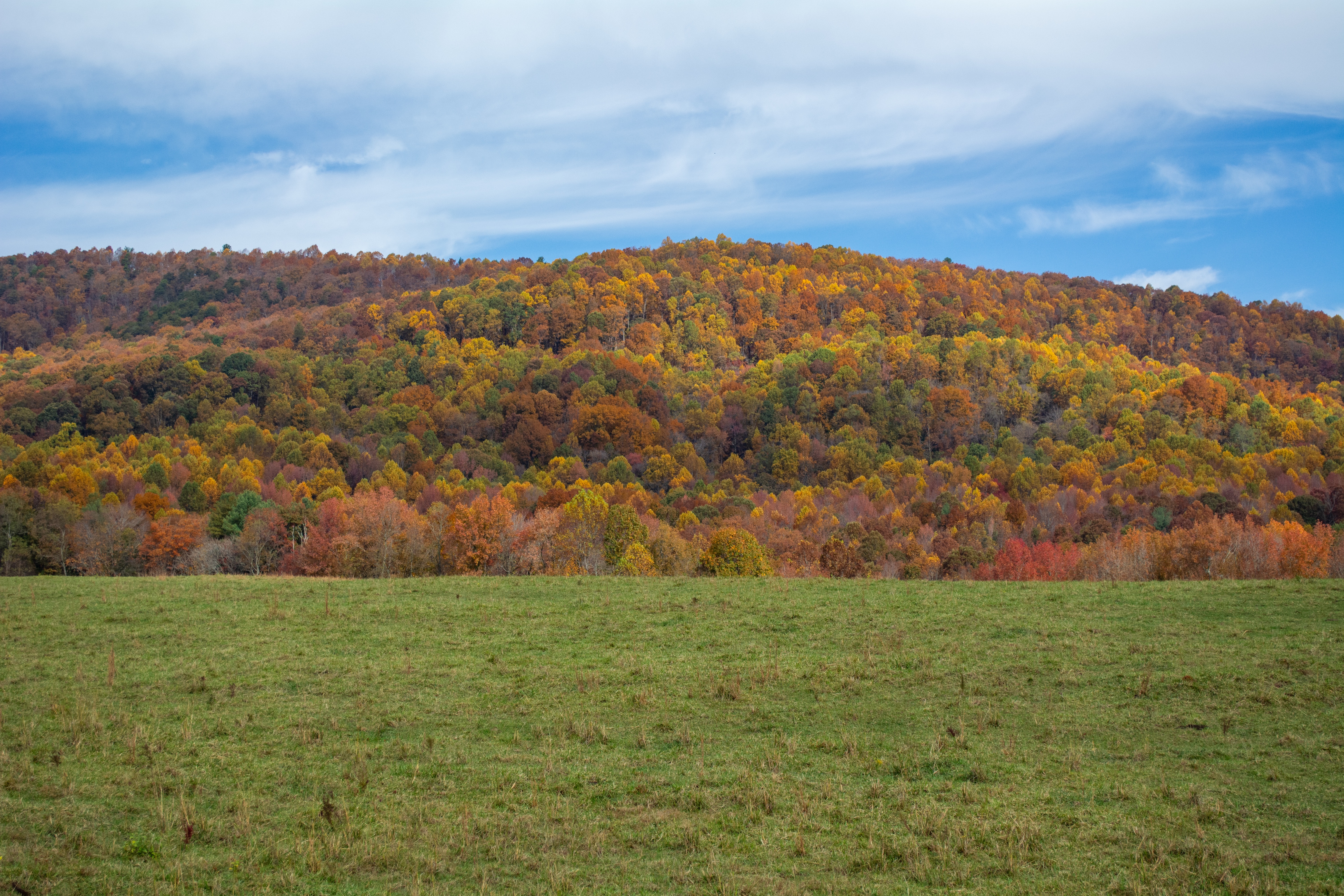 A landscape covered with widespread vivid fall color
