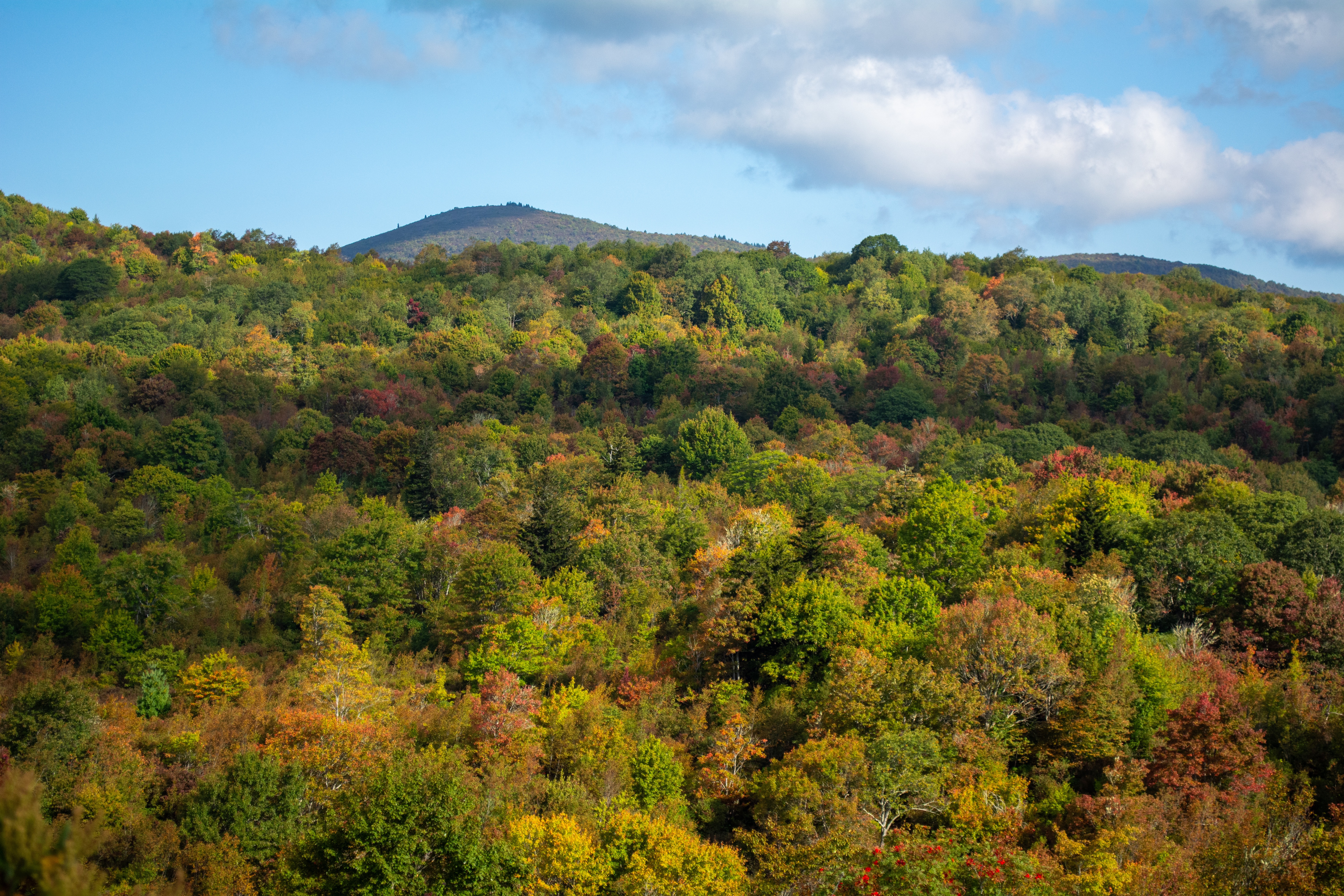 A green landscape with scattered patches of early fall color