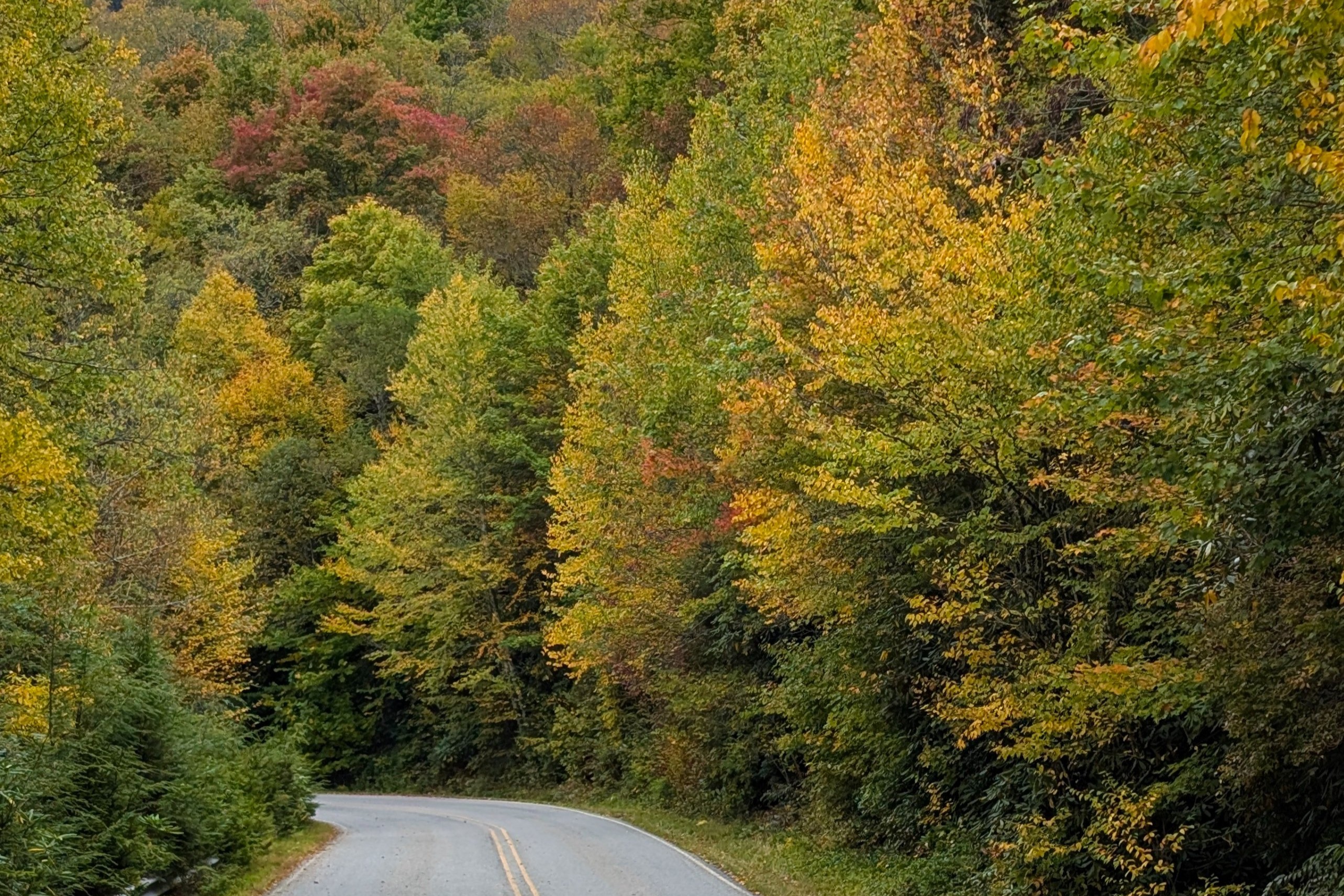 A landscape with a balanced mix of green and autumn colors