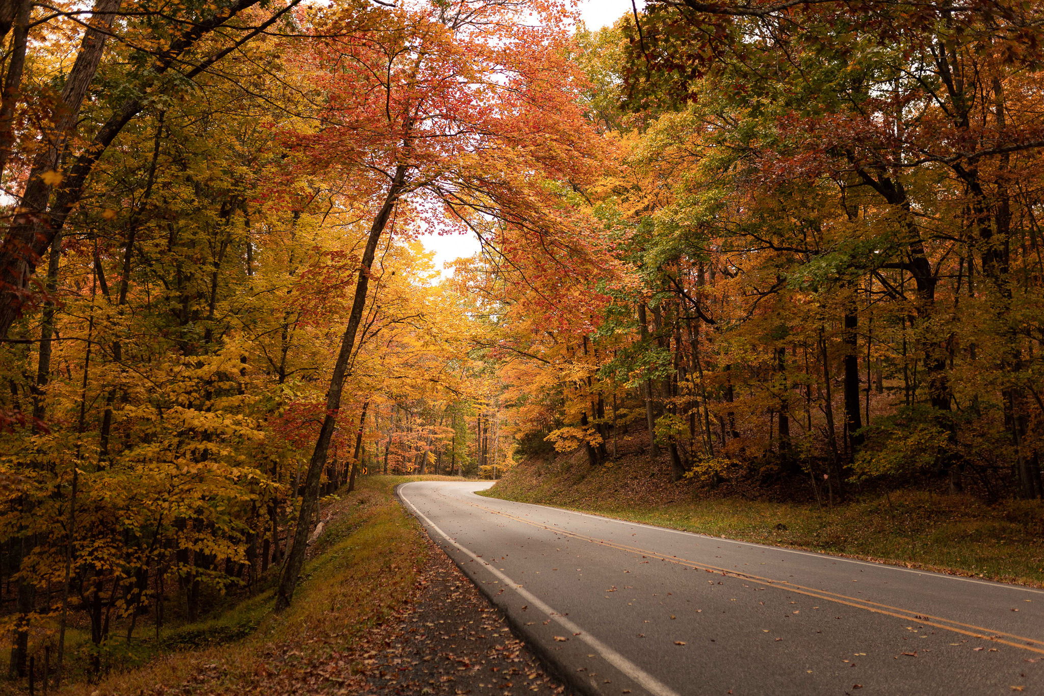 A landscape displaying vibrant peak fall foliage